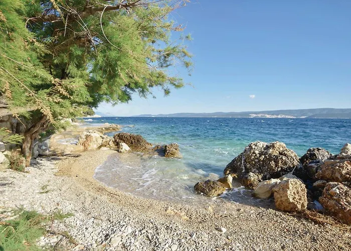 Διαμέρισμα Zavode V *